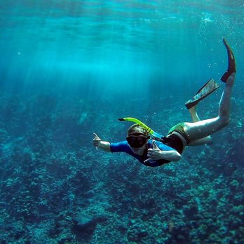 Maui Snorkel Charters - Molokini crater - Boat Tours Near Me - Kihei, Hawaii Maui Snorkel Charters - Molokini crater - Boat Tours Near Me - Kihei, Hawaii