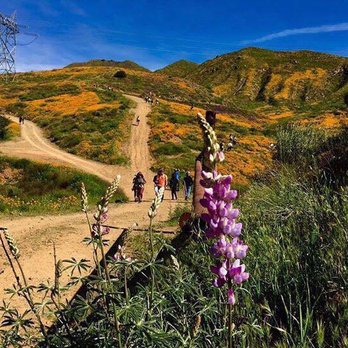 Lake Elsinore - Right off the freeway ( 1-15).  Bring water, hat and hiking shoes. - Lakes Near Me - Lake Elsinore, California