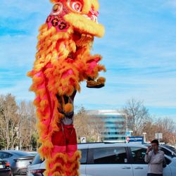 Leung's White Crane Lion and Dragon Association - Happy Lamb Hotpot Show