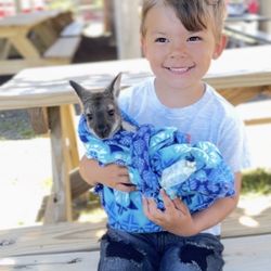 Bear Den Zoo And Petting Farm