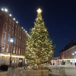 Greenpoint Trees - South Street Seaport 30' Christmas Tree