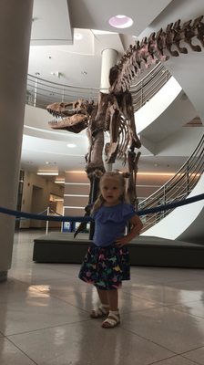 University of California Museum of Paleontology by null