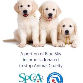 Blue Sky Insurance - At Blue Sky Insurance, we love animals. We support to stop animal cruelty. - Home & Rental Insurance Near Me - Boca Raton, Florida Blue Sky Insurance - At Blue Sky Insurance, we love animals. We support to stop animal cruelty. - Home & Rental Insurance Near Me - Boca Raton, Florida