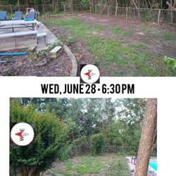 Mike's Tree Service - 30 days ago  this pool area was full of trees + shrubs. It's beautiful now, the Crape Myrtle now has a new bird's nest in it. Looks great.