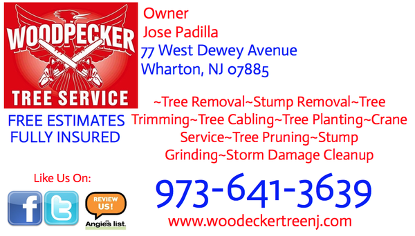 WOODPECKER TREE SERVICE - Updated January 2025 - 105 Photos & 29