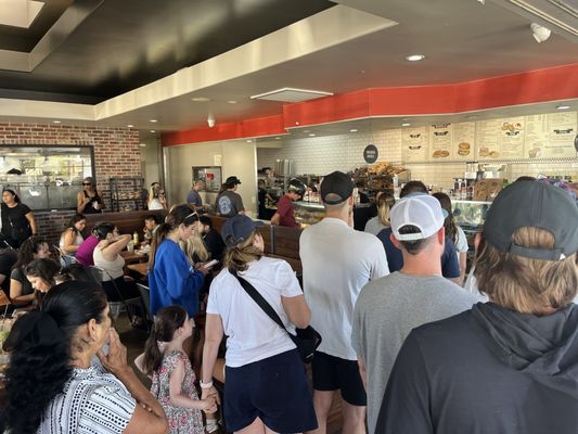 Shirley's Bagels by null