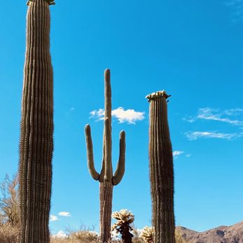 Hieroglyphic Trail Hoa - Spring in the desert - Hiking Near Me - Gold Canyon, Arizona Hieroglyphic Trail Hoa - Spring in the desert - Hiking Near Me - Gold Canyon, Arizona