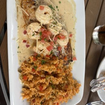 Harry's Seafood Bar & Grille - Blackened redfish - Seafood Near Me - St Augustine, Florida Harry's Seafood Bar & Grille - Blackened redfish - Seafood Near Me - St Augustine, Florida