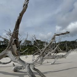 Big Talbot Island State Park