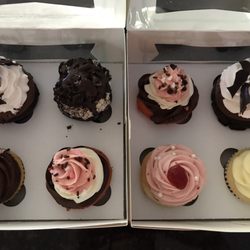 Sharing Spaces Kitchen & Greenhouse - French Silk, Oreo, Boston Creme Pie, Neapolitan, Raspberry Lemonade, Lemon Burst cupcakes! And there are many more flavors....