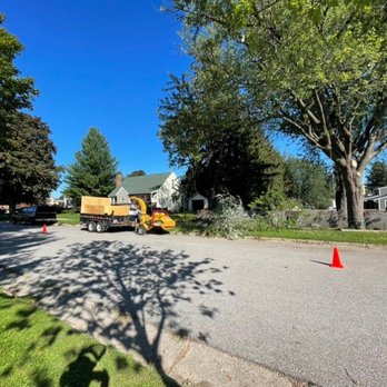 Sweet Carolina Tree Care - Tree Services Near Me - Hickory, North Carolina Sweet Carolina Tree Care - Tree Services Near Me - Hickory, North Carolina