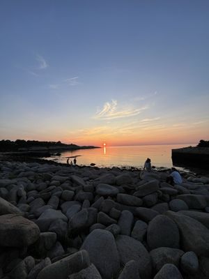 The Lobster Pool by null