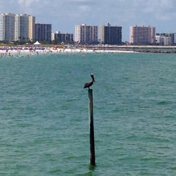 Clearwater Beach - Beaches Near Me