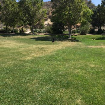Time 4 Obedience - Nala at a sit stay practicing at the dog park - Pet Training Near Me - Simi Valley, California Time 4 Obedience - Nala at a sit stay practicing at the dog park - Pet Training Near Me - Simi Valley, California