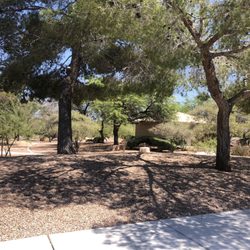 Tenaya Medical Park