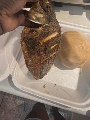 The Mukase Restaurant (Chicago) by null