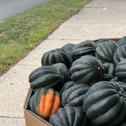 Village Market Place - September 2023