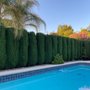 Photo of KlamfothTree Service