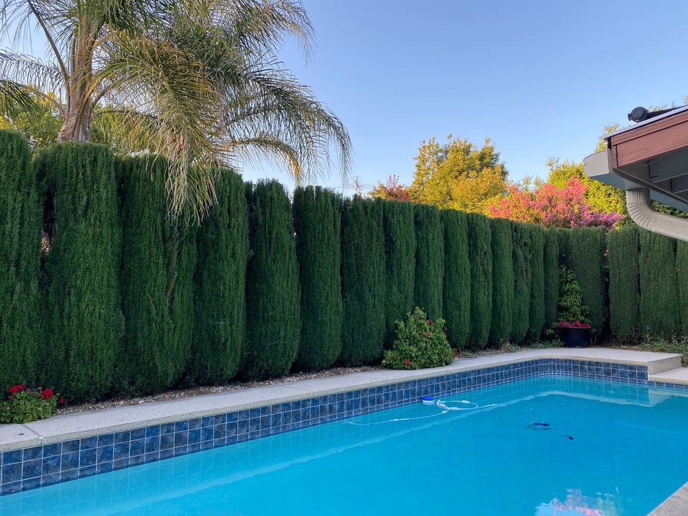 KlamfothTree Service - tree service in Sacramento, CA