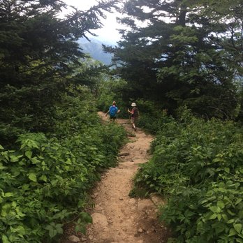 Waterrock Knob - Parks Near Me - Scott Creek, North Carolina