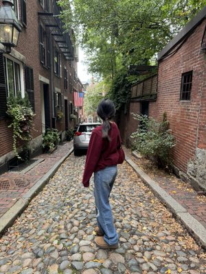 Beacon Hill by null