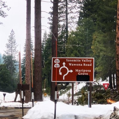 Wawona Campground by null