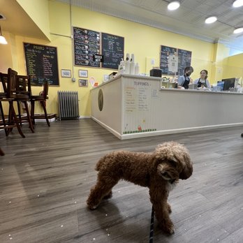 Roll Thai'd Creamery - Ice Cream & Frozen Yogurt Near Me - Rutherford, New Jersey Roll Thai'd Creamery - Ice Cream & Frozen Yogurt Near Me - Rutherford, New Jersey