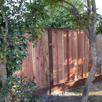 Brus Box Contractor Works - Backyard fence - Painters Near Me Brus Box Contractor Works - Backyard fence - Painters Near Me