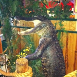 Gator!