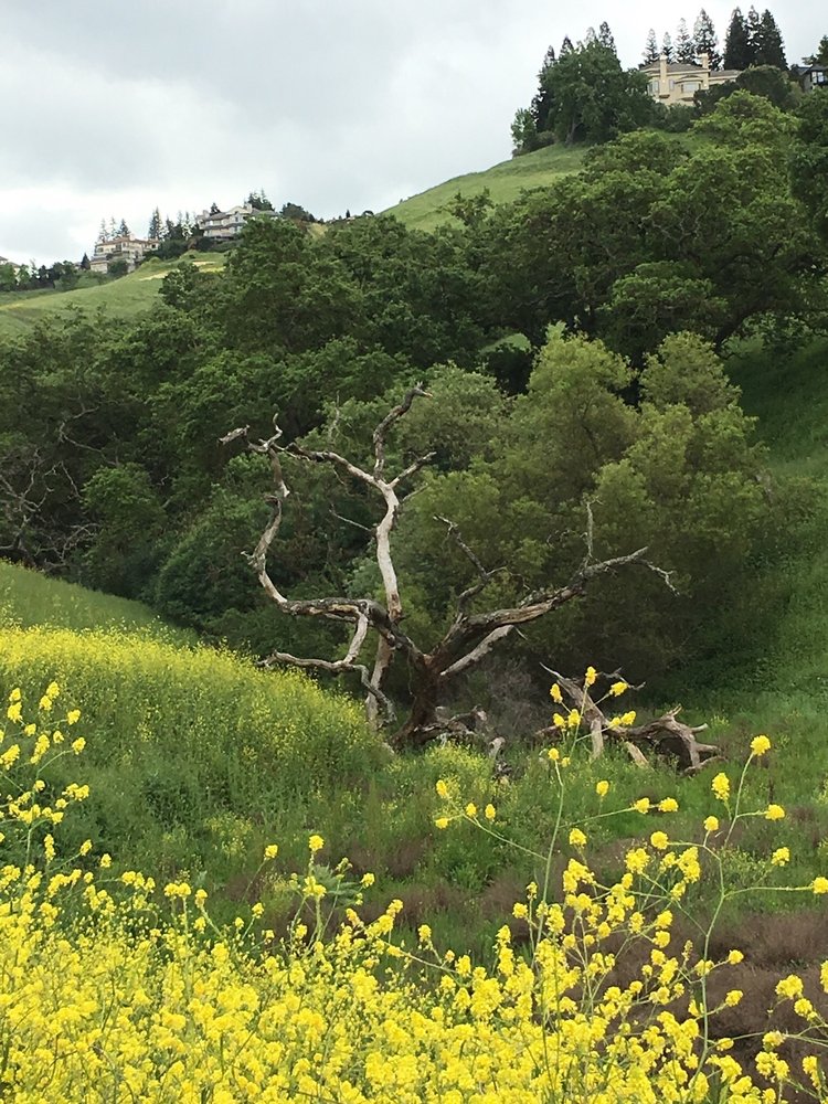 SUMMIT RANCH EQUINE CENTER 64 Photos & 14 Reviews 100 Summit Ranch