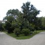 Photo of Rosenpark