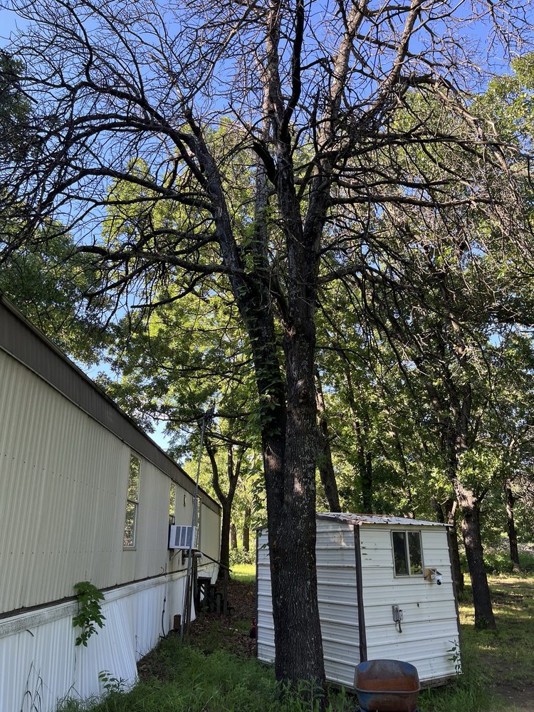 Tony's Tree Service - tree service in Tulsa, OK