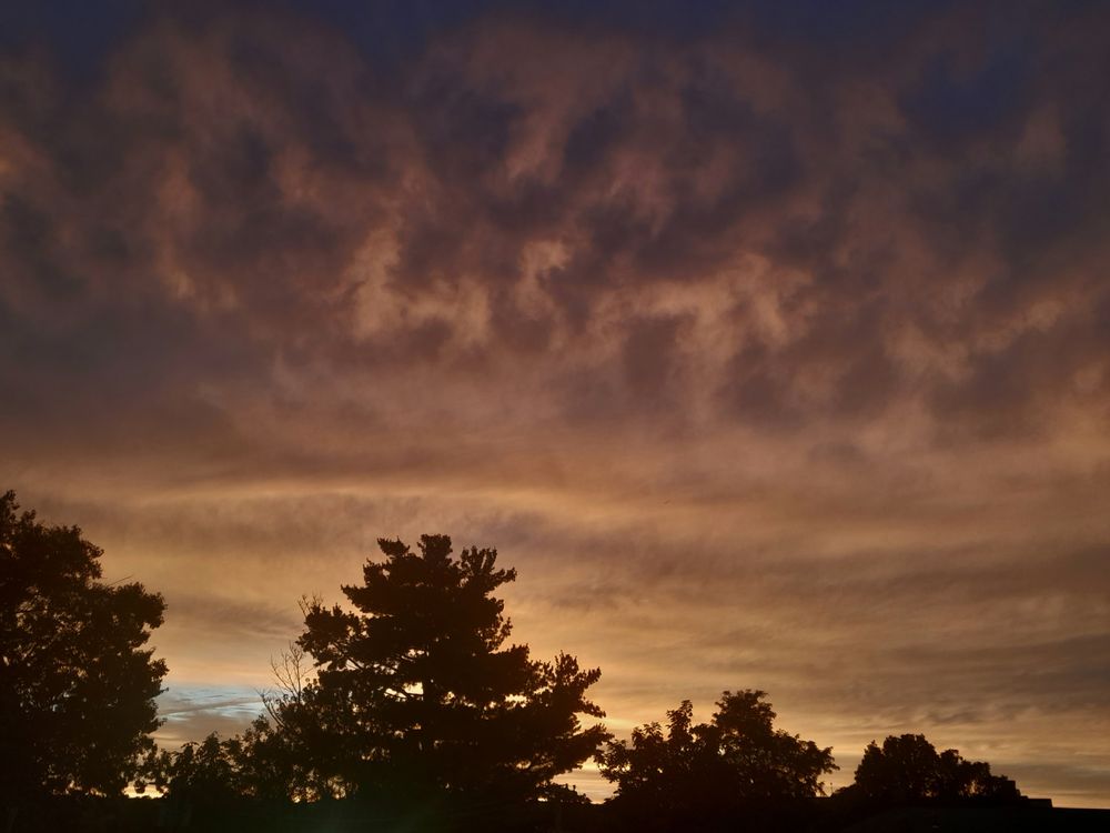 CHANNEL 40 WGGB TV - Updated February 2026 - 13 Photos - 1300 Liberty