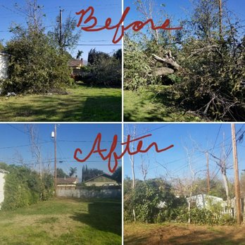 Inexpensive Tree Services - Before and After - 1 downed tree; and 1 dead tree removal. Great work! - Tree Services Near Me - Los Angeles, California Inexpensive Tree Services - Before and After - 1 downed tree; and 1 dead tree removal. Great work! - Tree Services Near Me - Los Angeles, California