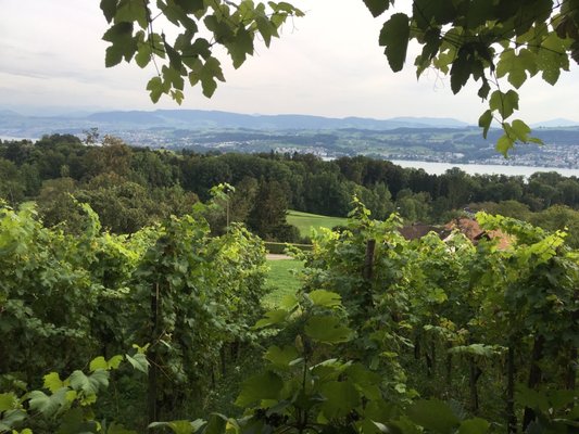 Restaurant Buech by null