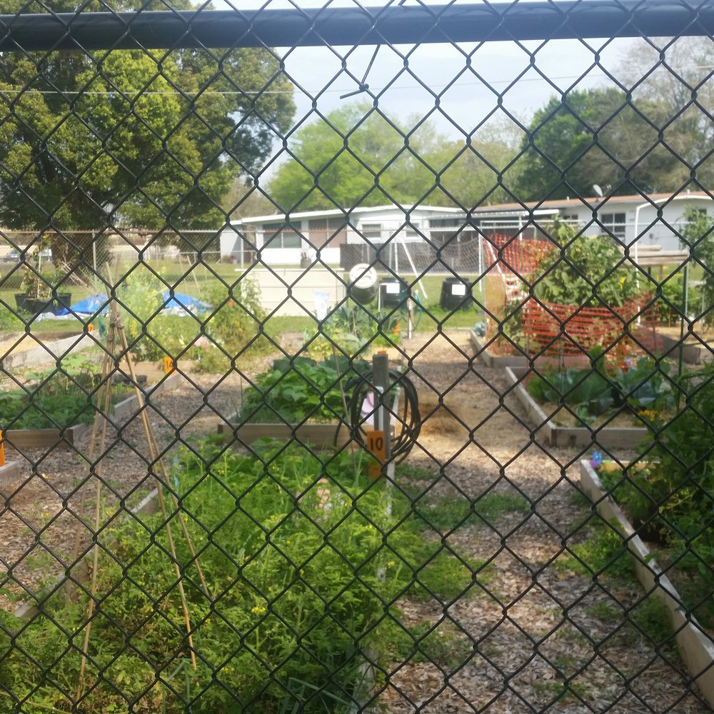 Englewood Park - The community garden. - Parks Near Me - Orlando, Florida Englewood Park - The community garden. - Parks Near Me - Orlando, Florida