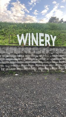 Sheldrake Point Winery by null