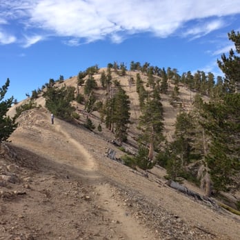 Mount Baden-Powell Trail - almost there - Hiking Near Me
