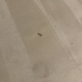Hotel Silver Spring - Couch stains - Hotels Near Me - Silver Spring, Maryland Hotel Silver Spring - Couch stains - Hotels Near Me - Silver Spring, Maryland