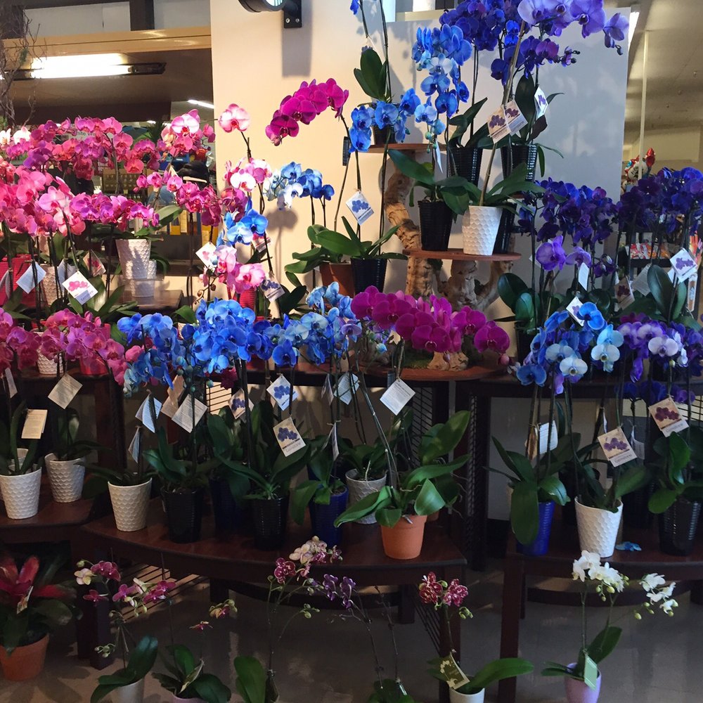 Albertsons - Grocery Near Me - Montebello, California