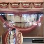 Photo of Phan Minh, DDS