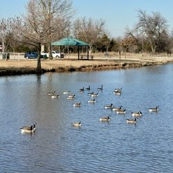 Wildhorse Park