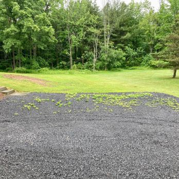 Cayuga Excavating & Paving - My new gravel driveway with emergent weeds (three weeks old) - Masonry/Concrete Near Me - Interlaken, New York
