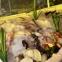 Photo of El Oasis Mariscos 