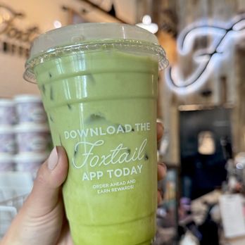 Foxtail Coffee - Coffee & Tea Near Me - Carrollwood, Florida Foxtail Coffee - Coffee & Tea Near Me - Carrollwood, Florida