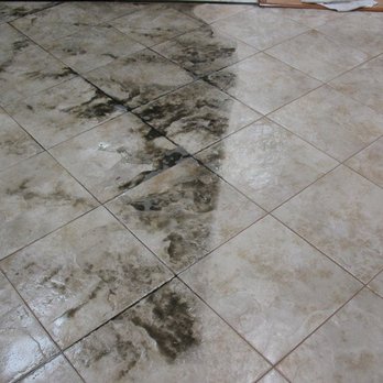 Lcs Janitorial Service Supply Request A Quote Carpet Lcs Janitorial Service Supply