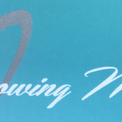Growing Minds - Logo