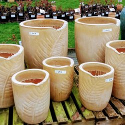 Country Garden Plant Centre