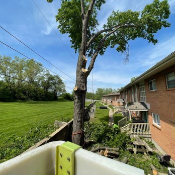 Hill Tree Service - Tree Services Near Me - Oak Grove, Missouri Hill Tree Service - Tree Services Near Me - Oak Grove, Missouri
