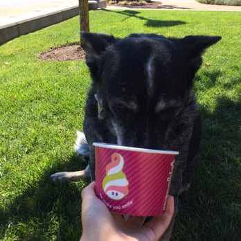 Menchie's - Perfect water cup - Ice Cream & Frozen Yogurt Near Me - Puyallup, Washington